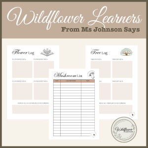 Nature journal pages for home school children with prompts for sights, sounds, textures, and questions to encourage observation skills