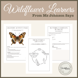 Root Deeper: Butterfly Month | Nature Study Booklet