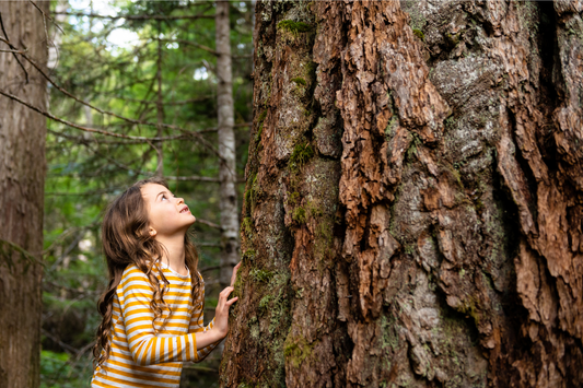 Why Choose the Natural Path to Learning?