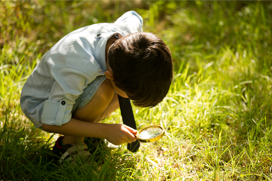 Why More Families Are Choosing Home Education in the UK
