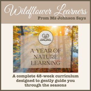 Wild & Rooted: A Year of Nature Learning