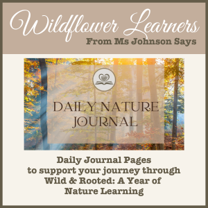 Daily Nature Journal printable for children, nature study journal pages for home education, Wild and Rooted companion resource