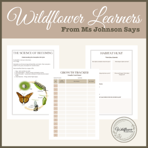Root Deeper: Caterpillar Watch | Nature Study Booklet