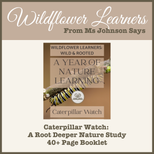 Root Deeper: Caterpillar Watch | Nature Study Booklet